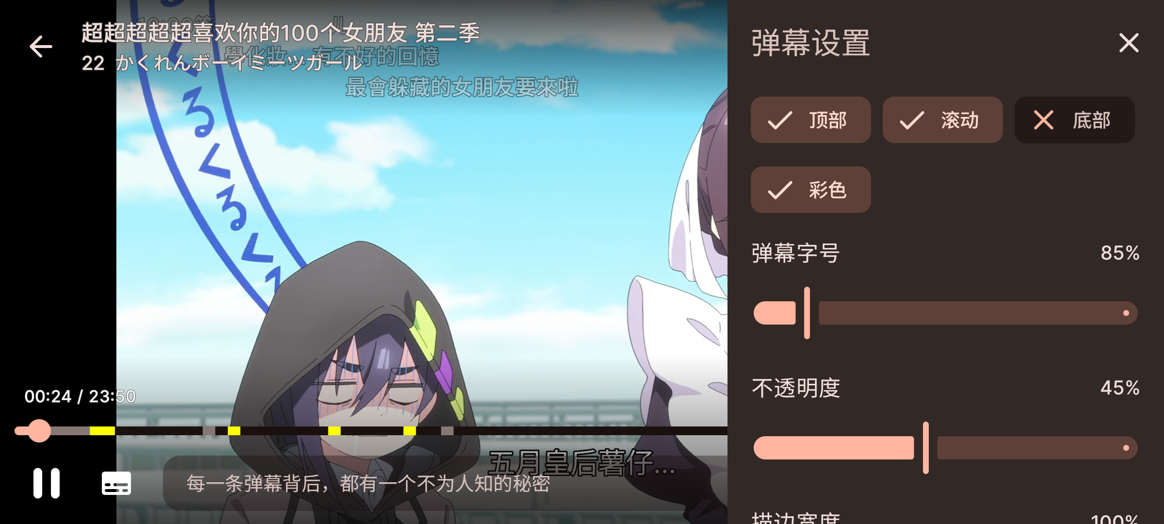 Danmaku Settings